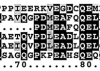 thumbnail image from paper