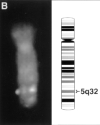 thumbnail image from paper