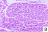 thumbnail image from paper