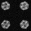 thumbnail image from paper
