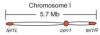 thumbnail image from paper