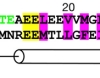 thumbnail image from paper