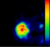 thumbnail image from paper