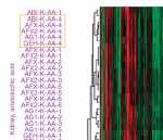 thumbnail image from paper