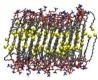 thumbnail image from paper