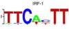thumbnail image from paper