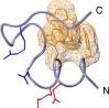 thumbnail image from paper