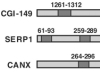 thumbnail image from paper