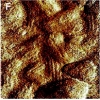 thumbnail image from paper