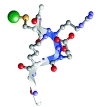 thumbnail image from paper