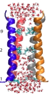 thumbnail image from paper