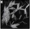 thumbnail image from paper