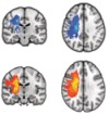 thumbnail image from paper