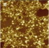 thumbnail image from paper