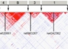 thumbnail image from paper