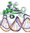 thumbnail image from paper