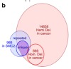 thumbnail image from paper