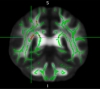thumbnail image from paper