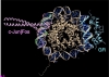 thumbnail image from paper