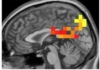 thumbnail image from paper