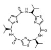 thumbnail image from paper