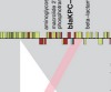 thumbnail image from paper