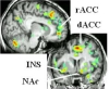thumbnail image from paper
