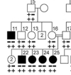 thumbnail image from paper