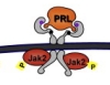 thumbnail image from paper