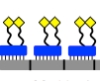 thumbnail image from paper