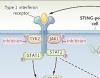 thumbnail image from paper