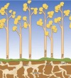 thumbnail image from paper