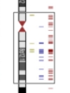 thumbnail image from paper