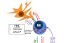 thumbnail image from paper