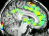 thumbnail image from paper