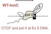 thumbnail image from paper