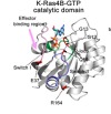 thumbnail image from paper
