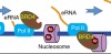 thumbnail image from paper