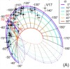 thumbnail image from paper