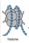 thumbnail image from paper