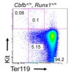 thumbnail image from paper