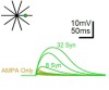 thumbnail image from paper