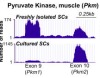 thumbnail image from paper