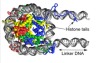 thumbnail image from paper