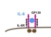 thumbnail image from paper