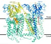 thumbnail image from paper