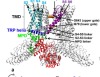 thumbnail image from paper