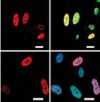 thumbnail image from paper