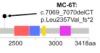 thumbnail image from paper