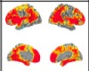 thumbnail image from paper
